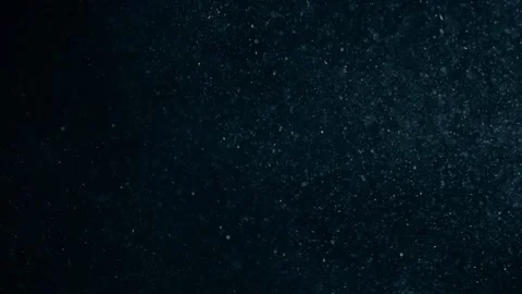 Natural Organic Dust Particles Float On Black Background. Dust In Motion. Stock Footage 247579072