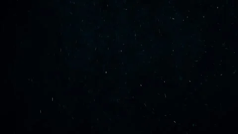 Natural Organic Dust Particles Float On Black Background. Dust In Motion. 库存影片 247579094