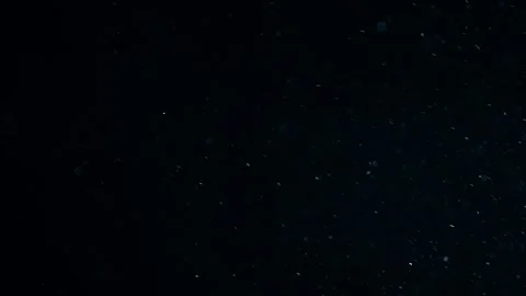 Natural Organic Dust Particles Float On Black Background. Dust In Motion. Vidéo 247579122