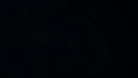 Natural Organic Dust Particles Float On Black Background. Dust In Motion. Stock Footage 247579143