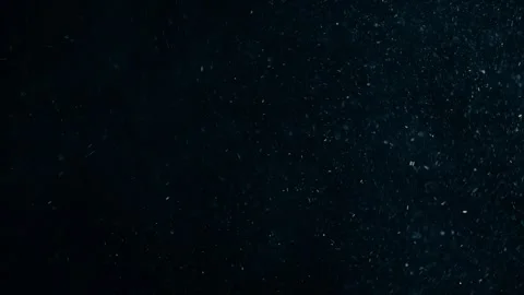 Natural Organic Dust Particles Float On Black Background. Dust In Motion. Stock Footage 247579164