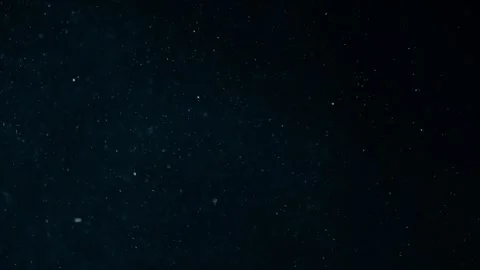 Natural Organic Dust Particles Float On Black Background. Dust In Motion. Stock Footage 247774893