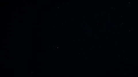 Natural Organic Dust Particles Float On Black Background. Dust In Motion. Stock Footage 247774944