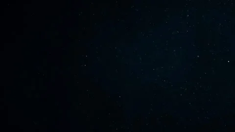 Natural Organic Dust Particles Float On Black Background. Dust In Motion. Stock Footage 247775111