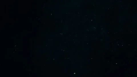 Natural Organic Dust Particles Float On Black Background. Dust In Motion. Stock Footage 247775114