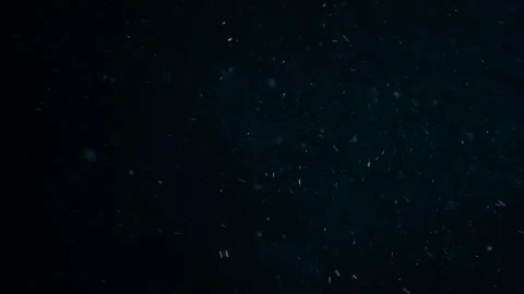 Natural Organic Dust Particles Float On Black Background. Dust In Motion. Stock Footage 247775118