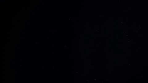 Natural Organic Dust Particles Float On Black Background. Dust In Motion. Stock Footage 247775123