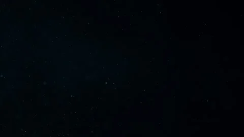 Natural Organic Dust Particles Float On Black Background. Dust In Motion. Stock Footage 247775124