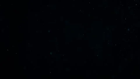 Natural Organic Dust Particles Float On Black Background. Dust In Motion. Stock Footage 247775177