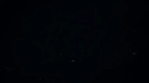 Natural Organic Dust Particles Float On Black Background. Dust In Motion. Stock Footage 247775200