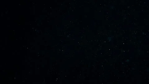 Natural Organic Dust Particles Float On Black Background. Dust In Motion. Stock Footage 247775366
