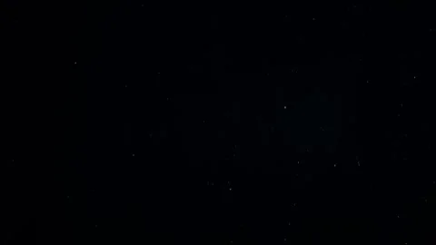 Natural Organic Dust Particles Float On Black Background. Dust In Motion. Stock Footage 247775406