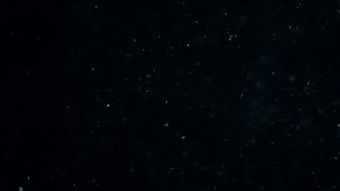 Natural Organic Dust Particles Float On Black Background. Dust In Motion. Stock Footage 247775513