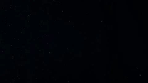 Natural Organic Dust Particles Float On Black Background. Dust In Motion. 库存影片 247775609