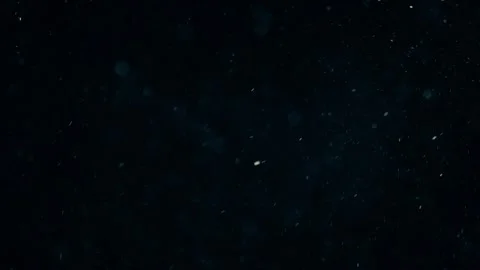Natural Organic Dust Particles Float On Black Background. Dust In Motion. 库存影片 247775616