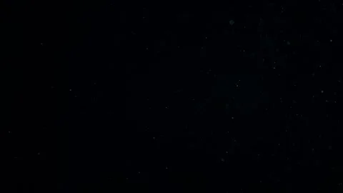 Natural Organic Dust Particles Float On Black Background. Dust In Motion. 库存影片 247775754