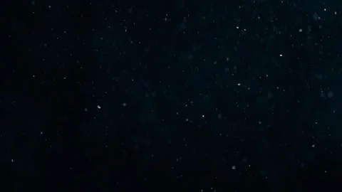 Natural Organic Dust Particles Float On Black Background. Dust In Motion. 库存影片 247775820