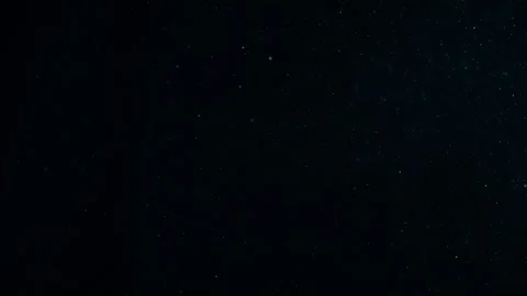 Natural Organic Dust Particles Float On Black Background. Dust In Motion. 库存影片 247775950