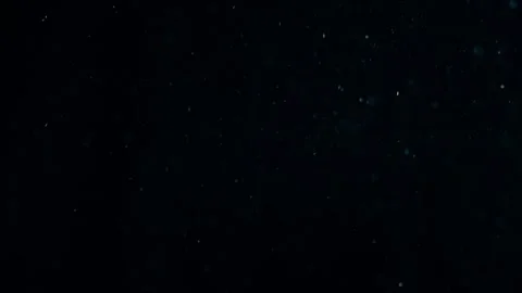 Natural Organic Dust Particles Float On Black Background. Dust In Motion. Stock Footage 247776010
