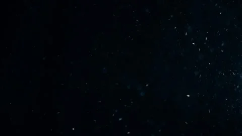 Natural Organic Dust Particles Float On Black Background. Dust In Motion. Stock Footage 247776011