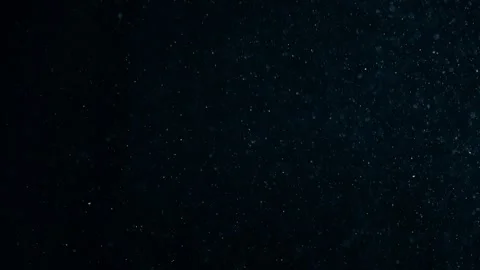 Natural Organic Dust Particles Float On Black Background. Dust In Motion. 库存影片 247776012