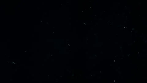 Natural Organic Dust Particles Float On Black Background. Dust In Motion. Stock Footage 247776097