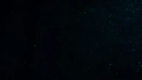 Natural Organic Dust Particles Float On Black Background. Dust In Motion. Stock Footage 247776134