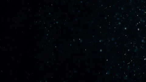 Natural Organic Dust Particles Float On Black Background. Dust In Motion. Stock Footage 247776217