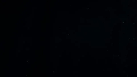 Natural Organic Dust Particles Float On Black Background. Dust In Motion. Stock Footage 247776262