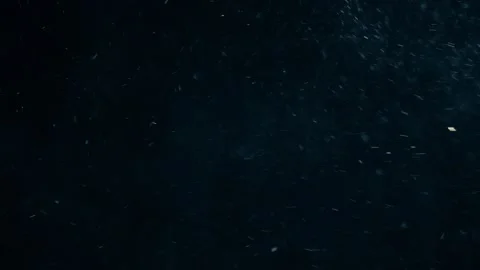 Natural Organic Dust Particles Float On Black Background. Dust In Motion. Stock Footage 247776267