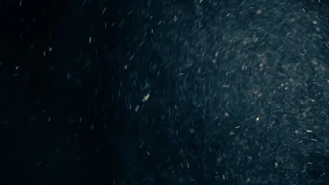 Natural Organic Dust Particles Float On Black Background. Dust In Motion. Stock Footage 247776285
