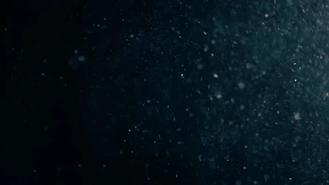 Natural Organic Dust Particles Float On Black Background. Dust In Motion. Stock Footage 247776359