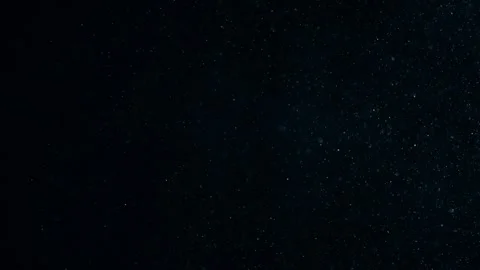 Natural Organic Dust Particles Float On Black Background. Dust In Motion. Stock Footage 247776413