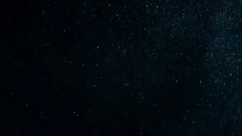 Natural Organic Dust Particles Float On Black Background. Dust In Motion. Stock Footage 247776448