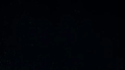 Natural Organic Dust Particles Float On Black Background. Dust In Motion. Stock Footage 247776462