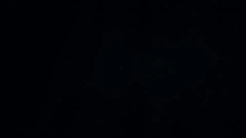 Natural Organic Dust Particles Float On Black Background. Dust In Motion. Stock Footage 247776489