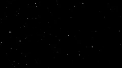 Natural Organic Dust Particles Float On Black Background. Dust In Motion. Stock Footage 298401685