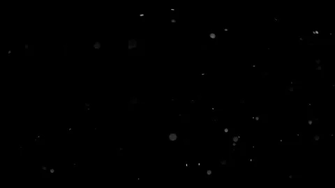 Natural Organic Dust Particles Float On Black Background. Dust In Motion. Stock Footage 298401705