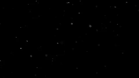 Natural Organic Dust Particles Float On Black Background. Dust In Motion. Stock Footage 298401726