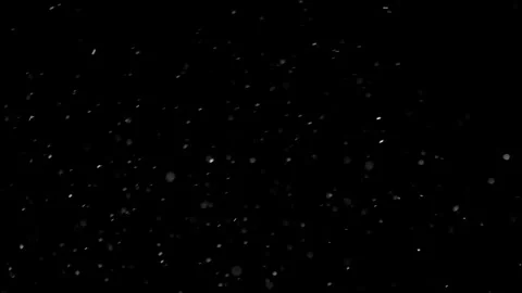 Natural Organic Dust Particles Float On Black Background. Dust In Motion. Stock Footage 298401737