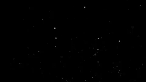 Natural Organic Dust Particles Float On Black Background. Dust In Motion. Stock Footage 298401797