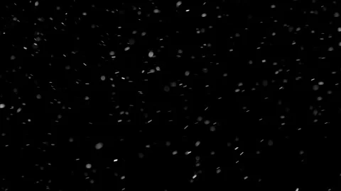 Natural Organic Dust Particles Float On Black Background. Dust In Motion. Stock Footage 298401836