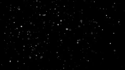 Natural Organic Dust Particles Float On Black Background. Dust In Motion. Stock Footage 298401875