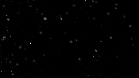 Natural Organic Dust Particles Float On Black Background. Dust In Motion. Stock Footage 298401920