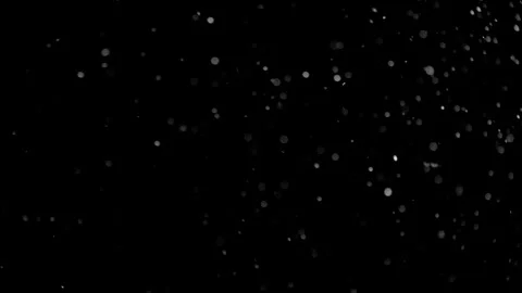 Natural Organic Dust Particles Float On Black Background. Dust In Motion. Stock Footage 298401982