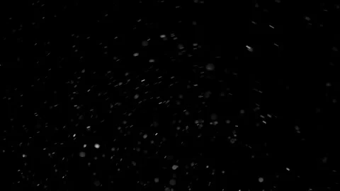 Natural Organic Dust Particles Float On Black Background. Dust In Motion. Stock Footage 298402081