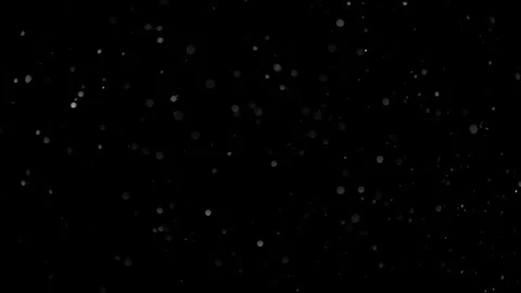 Natural Organic Dust Particles Float On Black Background. Dust In Motion. Stock Footage 298402222