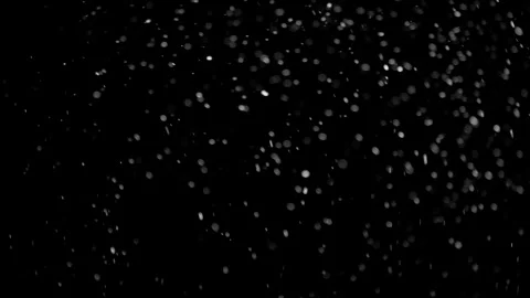 Natural Organic Dust Particles Float On Black Background. Dust In Motion. Stock Footage 298402283