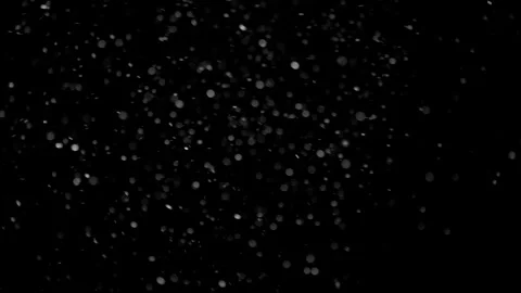 Natural Organic Dust Particles Float On Black Background. Dust In Motion. Stock Footage 298402286
