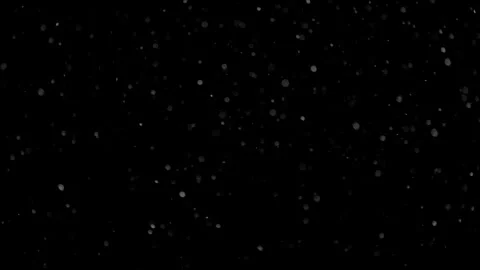 Natural Organic Dust Particles Float On Black Background. Dust In Motion. Stock Footage 298402407